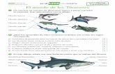2 ya sé CON SUSAETA Primaria (Segundo Ciclo) El …leerconsusaeta.com/wp-content/uploads/2013/12/LEER_2_Tiburones...Tiburón duende Tiburón martillo Tiburón cebra ˚ ¿Qué has