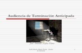Audiencia de Terminación Anticipada - mpfn.gob.pe · obtención de un acuerdo transaccional (agreement) (…) José Antonio Neyra Flores - Doctor en Derecho 11 ... No se evidencia
