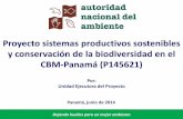 Proyecto sistemas productivos sostenibles y …produccionsostenibleybiodiversidad.org/wp-content/documentos/... · y amigables con la biodiversidad en paisajes productivos, en las