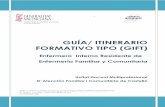 GUÍA/ ITINERARIO FORMATIVO TIPO (GIFT) · Guía/ Itinerario Formativo Tipo (GIFT) EFyC 6 2 LA ESPECIALIDAD DE ENFERMERÍA FAMILIAR ... el programa de la especialidad plasma el ...