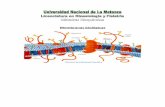 Membranas biológicas - Bioquimica Kinesiologia UNLaM€¦ · • Proteínas periféricas o extrínsecas. ... químicos del medio y transducción de señales químicas, que desencadenan