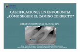 CALCIFICACIONES EN ENDODONCIA: ¿CÓMO …€¦ · BIBLIOGRAFÍA 5. Monteiro, Berbert (2009): “Accidentes y complicaciones en el tratamiento Endodóntico. Soluciones clínicas.”