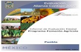 PUE FA 2003 - Proyecto de Evaluación y Análisis de ... · PADER Programa de Apoyo al Desarrollo Rural PAPIR Programa de Apoyo a los Proyectos de Inversión Rural PEA Población