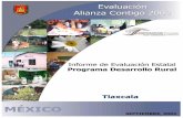 TLX DR 2003 - Proyecto de Evaluación y Análisis de ...smye.info/pagina/documentos/sistemas/Eval2003/Resultados2003/pdf/... · PAPIR Programa de Apoyo a los Proyectos de Inversión