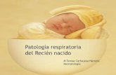 M Teresa Carbajosa Herrero Neonatologíacampus.usal.es/~ogyp/Clases teoricas 2014 2015/Neonatologia... · Luxación congénita de cadera 24.- Malformaciones digestivas en el recién