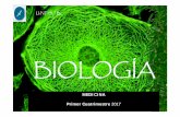 EUCARIOTAS NUCLEO 03May2017 - Inicio Se IMPORTAN dentro del núcleo: Las proteínas sintetizadas en el citoplasma necesarias para ensamblar los ribosomas.· Los factores de transcripción