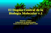 El Dogma Central de la Biología Molecular vpdg.cnb.uam.es/cursos/Complutense/Complutense2005/pages/...La Traducción ocurre en los Ribosomas, que están en el citoplasma. Los ribosomas