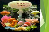 DIVERSIDAD BIOLOGICA · Archaea: Archeobacterias