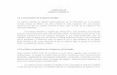 CAPITULO II MARCO TEÓRICO 2.1 Características de …catarina.udlap.mx/u_dl_a/tales/documentos/lad/abiti_m_me/capitulo2.pdf · mundo globalizado. Ifema. Argentina, p. 62-93 ... cuenta