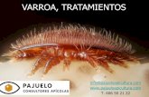 VARROA, TRATAMIENTOS - Ensayos para el Control de …apinevada.com/media/files/news/AGPajueloVarroa.pdf · Detecta la mortandad natural de la población de varroas. Exige más manipulación
