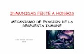 INMUNIDAD FENTE A HONGOS - exa.unne.edu.ar · Respuesta Inmune contra hongos • Los hongos pueden vivir en los tejidos extracelulares o en el interior de los fagocitos. • Por lo