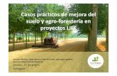 3.1 Casos practicos de mejora de suelo en proyectos …operacionco2.com/upload/file/2016_01_21-casos-practicos-proyectos... · • La rotación de los cultivos (cereal – oleaginosa