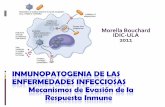 INMUNOPATOGENIA DE LAS ENFERMEDADES … · PARÁSITOS Mecanismos de RI innata •La principal respuesta inmunitaria a los protozoos es la fagocitosis, pero muchos son resistentes