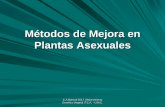 Métodos de Mejora en Plantas Asexuales - …agro.unc.edu.ar/~mejogeve/Asexuales2017.pdf · Plantas Asexuales C.A.Biasutti 2017. Mejoramiento Genético Vegetal. F.C.A. - U.N.C. ...