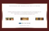 SISTEMAS DE SEMILLAS DE LA OCDE - oecd.org · las parcelas de control y la inspeccion de campo de los cultivos de ... identidad varietales durante las diferentes etapas de la produccion