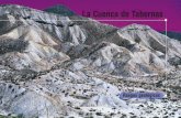 La Cuenca de Tabernas - Junta de Andalucía · sedimentos a la acción de los agentes erosivos. Alcalá la Real Granada Alhama Nerja Motril Adra Adra Adra Berja Berja Berja Almería