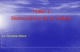TEMA 1 Biomecánica de la cadera - …doctorfernandopifarre.com/apuntes/Tema01.pdf · 6. Acciones musculares 7. Biomecánica de la flexo extensión 8. Biomecánica de las rotaciones