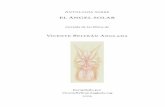 El ÁngEl SolAr - ngsm.orgngsm.org/vicenteba/libros/angel-solar.pdf · nocimientos que llamamos «MEMORIA CÓSMICA DE LA NATURALEZA» o «registros Akásicos», revelados en el ...