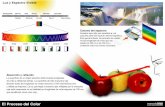 Luz y Espectro Visible - Marcelo Braz · Luz y Espectro Visible Colores del espectro Nuestros ojos sólo son sensibles a una pequeña parte del espectro electromagnético. Esta gama