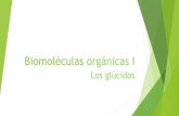Biomoléculas orgánicas I - amayabio.files.wordpress.com · Características generales: Son biomoléculas orgánicas formadas por carbono, oxígeno e hidrógeno. Algunos compuestos