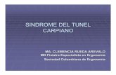 SINDROME DEL TUNEL CARPIANO - minsalud.gov.co y Publicaciones/SINDROME... · CARPIANO MA. CLEMENCIA RUEDA AREVALO MD Fisiatra Especialista en Ergonomía ... a nivel del túnel del