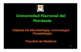 Universidad Nacional del Nordesteecaths1.s3.amazonaws.com/catmicromed/356288555.Enterobacterias 2… · enteroinvasiva. La materia fecal puede presentar sangre, moco y leucocitos.