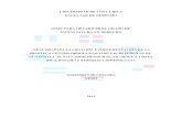 UNIVERSIDAD DE COSTA RICA FACULTAD DE …iij.ucr.ac.cr/wp-content/uploads/bsk-pdf-manager/2017/08/Tesis... · Título IV: Sistema Registral Costarricense y Sistemas Registrales ...