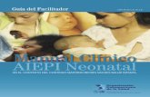 Guía del Facilitador - enfermeriaaps.com · OPS/FCH/CA/06.2.E Manual Clínico AIEPI Neonatal EN EL CONTEXTO DEL CONTINUO MATERNO-RECIÉN NACIDO-SALUD INFANTIL ... Las denominaciones