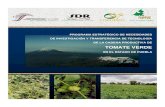 PROGRAMA ESTRATÉGICO DE NECESIDADES DE … · Programa Estratégico de Necesidades de Investigación y Transferencia de Tecnología de la Cadena Productiva del Tomate Verde Fundación