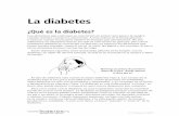 ¿Qué es la diabetes? - hesperian.orghesperian.org/wp-content/uploads/pdf/es_nwtnd_2011/es_nwtnd_2016... · Las personas que cultivan, caminan, ... Cuando las personas están bajo