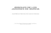 ÁRBOLES DE LOS JARDINES DE MURCIA - um.es · Analizando el catálogo de especies de árboles de la re-gión de Murcia, podremos comprobar que en la excursión de hoy conoceremos