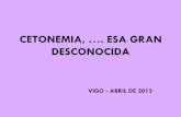CETONEMIA, …. ESA GRAN DESCONOCIDA - …agapap.org/druagapap/system/files/2013_cetonemia.pdf · - Disminución de un 60% las hospitalizaciones ... La hiperventilación para conseguir