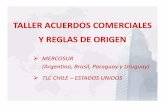TALLER ACUERDOS COMERCIALES Y REGLAS DE … · (Argentina, Brasil, Paraguay y Uruguay) ... servicios y capitales ... La inserción de Chile en la Economía mundial se