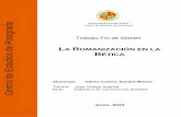 U J Centro de Estudios de Postgradotauja.ujaen.es/bitstream/10953.1/2614/1/SANDRA MIREYA... · 2018-03-20 · romanización en Hispania es una etapa clave en la Historia gracias a