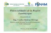Potencialidades de la Región Lambayeque - cd4cdm.org America/Peru/First National Workshop... · sector, viene desarrollando propuestas de circuitos turísticos internos, como: zaña