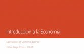 Operaciones en Comercio Exterior I Carlos Araya … · Principio de sustitución (jerarquizables): una necesidad puede ser sustituida por otra necesidad. ... Definicion de Economia.