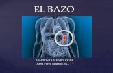 ANATOMÍA Y FISIOLOGÍA Diana Pérez Salgado 5A1.s4f1d769cf586f6c7.jimcontent.com/download/version... · 13.- ¿Qué es el hilio esplénico? ... también con el páncreas y el riñón