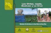 Los Chiles, Upala, Guatuso y La Cruz - Instituto ...legacy.iica.int/Esp/regiones/central/cr/Publicaciones Oficina Costa... · característicos de vegetación y, además, por la fauna