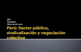 OIT Tarapoto Mayo 30 de 2012 - OIT en América Latina y …white.lim.ilo.org/spanish/260ameri/oitreg/activid/proyectos/actrav/... · 63.2 7.0 13.0 D.Leg 276 Administrativos Carrreras