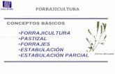 FORRAJICULTURA PASTIZAL FORRAJES …ecaths1.s3.amazonaws.com/plantastoxicas/464857815.Forrajicultura... · Factores que afectan la producción de pastos •Temperatura (macollamiento,