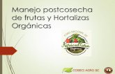 Frutas y Hortalizas - fororganico.com.mxfororganico.com.mx/wp-content/uploads/2017/08/Postcosecha.pdf · La elección del momento justo de madurez para la cosecha de frutas y hortalizas