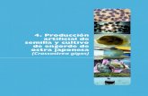 4. Producción artificial de semilla y cultivo de … D Informe técnico producción artificial de semilla y cultivo de engorde de moluscos bivalvos 29 Fig. 2 Sistema de acondicionamiento
