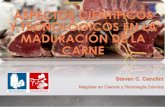 ASPECTOS CIENTÍFICOS Y TECNOLÓGICOS EN LA …tecnolacteoscarnicos.com/resumen/2016/p13.pdf · o Justificación Los tratamientos físicos para la maduración de carne actualmente