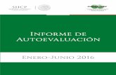 Informe de Autoevaluación - condusef.gob.mx · Visitas de verificación a SOFOMES, E.N.R. Dictamen Registro de Despachos de Cobranza (REDECO) ... entre otras a Banco de México,