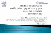Dra. Ma. del Pilar Gómez Gil - ccc.inaoep.mxccc.inaoep.mx/~pgomez/conferences/PggUPA15.pdf · Motivar a la audiencia a conocer más sobre Redes Neuronales Artificiales, una herramienta