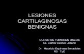 LESIONES CARTILAGINOSAS BENIGNAS - mic.com.mx · Inflamación lenta y progresiva de los dedos ... Displasia fibrosa poliostótica