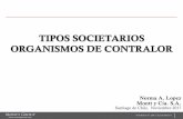 TIPOS SOCIETARIOS ORGANISMOS DE CONTRALOR Impuestos en... · TIPOS SOCIETARIOS ORGANISMOS DE ... – Control y recaudación de derechos tributarios aduaneros ... por encima del 1,5%