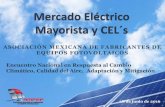 Mercado Eléctrico Mayorista y CEL´s - gob.mx · Mercado Eléctrico Mayorista (MEM) La nueva Ley de la Industria Eléctrica (LIE) permite al sector privado participar libremente