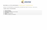 PR-PREA-A-2 PTA PIONEROS- Varios textos…varias …aprende.colombiaaprende.edu.co/sites/default/files/naspublic/pr... · Se recomienda en caso de que noten que ... rotación permanente