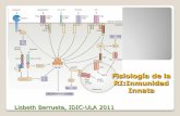Fisiología de la RI:Inmunidad Innata - MEDICINA · CONTENIDO Definición y características del sistema inmune innato Componentes del sistema inmune innato: barreras, sustancias